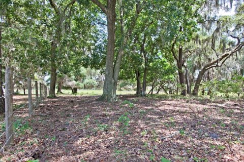 Land in Clermont, Florida № 218168 - photo 6