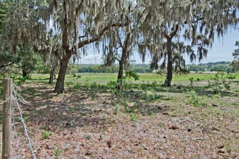 Land in Clermont, Florida № 218168 - photo 7