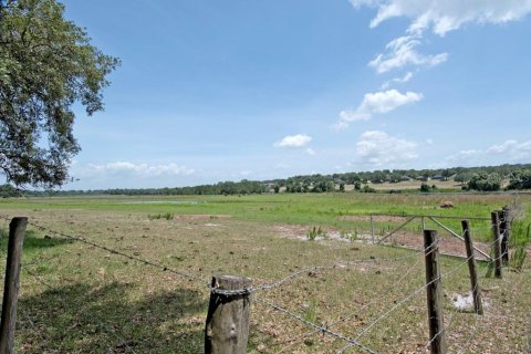 Land in Clermont, Florida № 218168 - photo 14