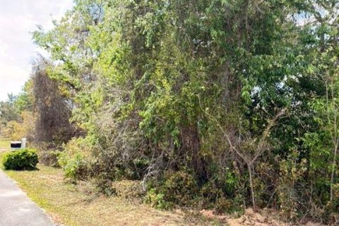 Land in Ocala, Florida № 2163805