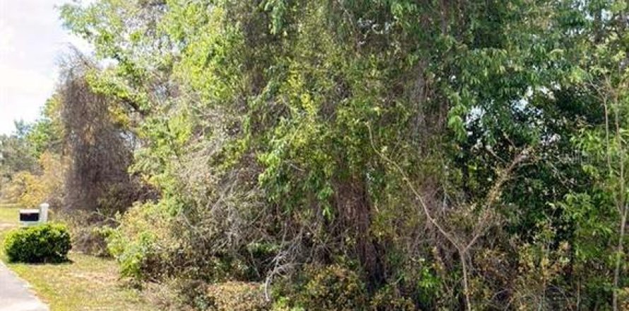 Land in Ocala, Florida № 2163805