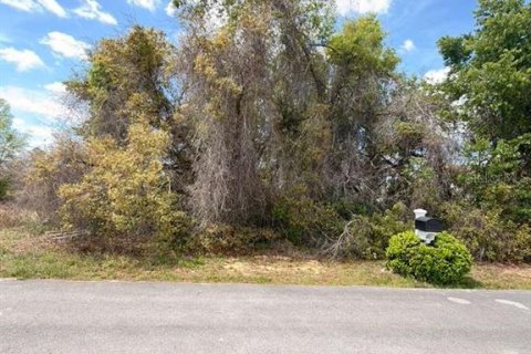 Land in Ocala, Florida № 2163805 - photo 2