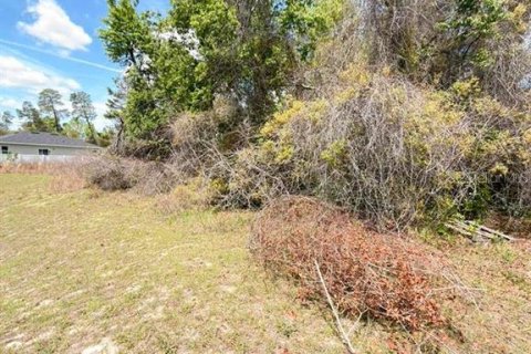 Land in Ocala, Florida № 2163805 - photo 5