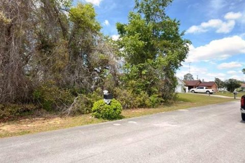 Land in Ocala, Florida № 2163805 - photo 6