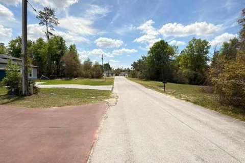 Land in Ocala, Florida № 2163805 - photo 3