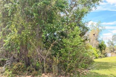 Land in Ocala, Florida № 2163805 - photo 4