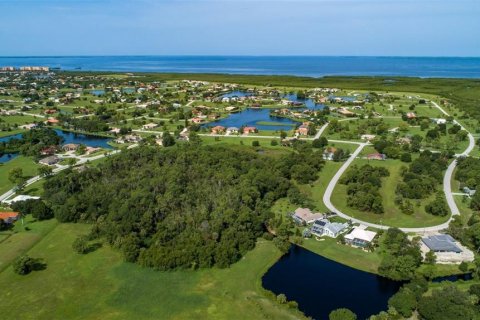 Land in Punta Gorda, Florida № 2379664 - photo 7