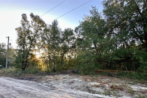Land in Ocala, Florida № 2160411 - photo 5
