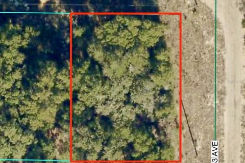 Land in Ocala, Florida № 2160411 - photo 3