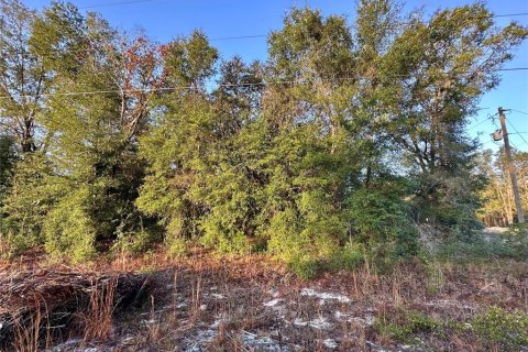 Land in Ocala, Florida № 2160411 - photo 6