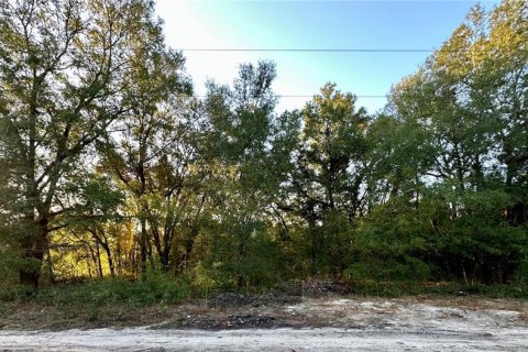Land in Ocala, Florida № 2160411 - photo 4