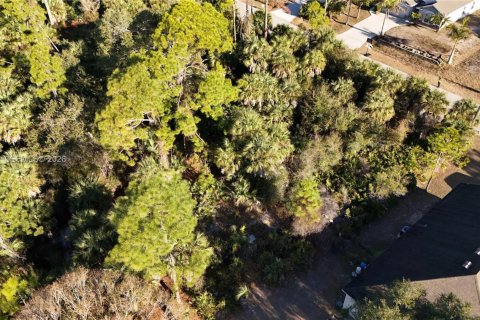 Land in North Port, Florida № 2158264 - photo 10