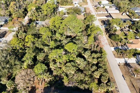 Land in North Port, Florida № 2158264 - photo 16