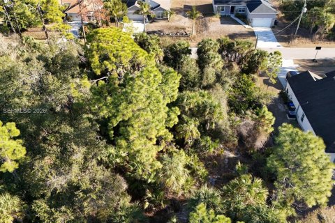 Land in North Port, Florida № 2158264 - photo 28