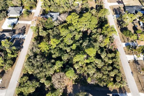 Land in North Port, Florida № 2158264 - photo 22