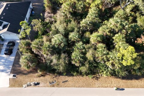Land in North Port, Florida № 2158264 - photo 27