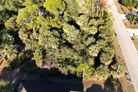Land in North Port, Florida № 2158264 - photo 9