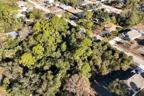 Land in North Port, Florida № 2158264 - photo 17