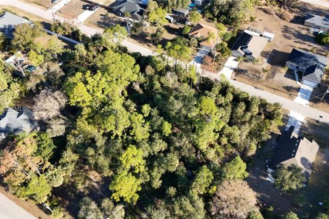 Land in North Port, Florida № 2158264 - photo 6