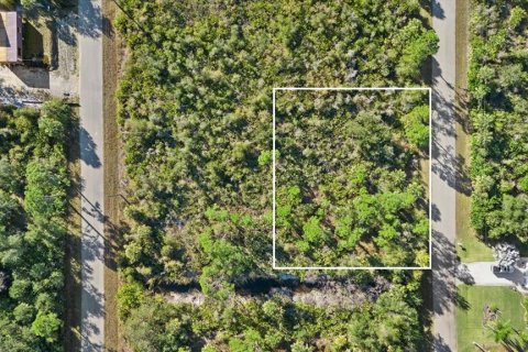 Land in Port Charlotte, Florida № 2165198 - photo 2