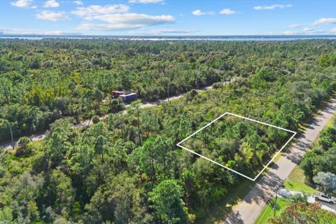 Land in Port Charlotte, Florida № 2165198