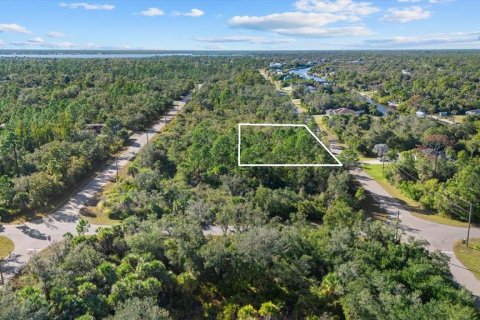 Land in Port Charlotte, Florida № 2165198 - photo 3