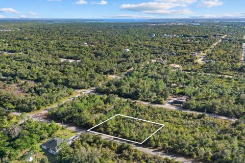 Land in Port Charlotte, Florida № 2165198 - photo 5