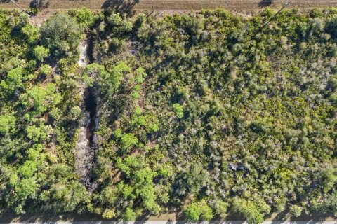 Land in Port Charlotte, Florida № 2165198 - photo 9