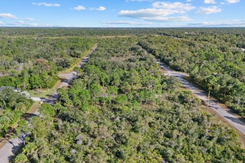 Land in Port Charlotte, Florida № 2165198 - photo 6