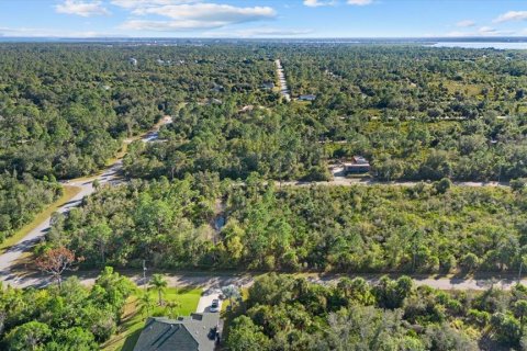 Land in Port Charlotte, Florida № 2165198 - photo 10