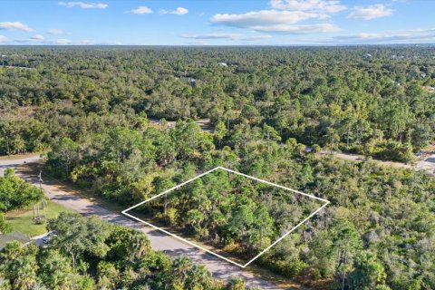 Land in Port Charlotte, Florida № 2165198 - photo 4