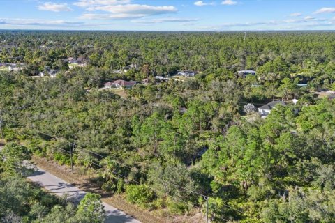 Land in Port Charlotte, Florida № 2165198 - photo 8