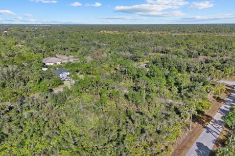 Land in Port Charlotte, Florida № 2165198 - photo 7