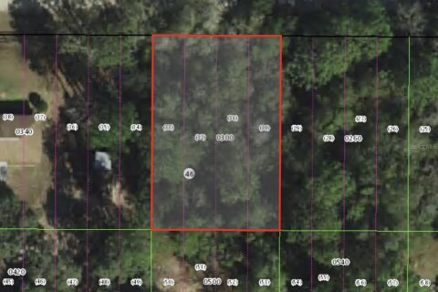Terreno en Inverness, Florida № 2164386