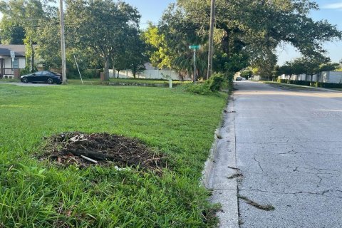 Terreno en venta en Orlando, Florida № 1883964 - foto 6