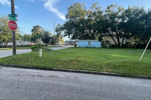 Terreno en venta en Orlando, Florida № 1883964 - foto 3