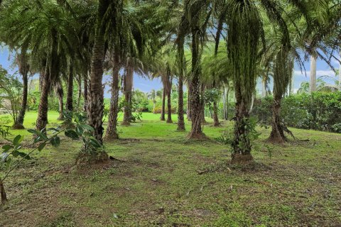 Casa en venta en Parkland, Florida, 4 dormitorios, 231.33 m2 № 2376898 - foto 23