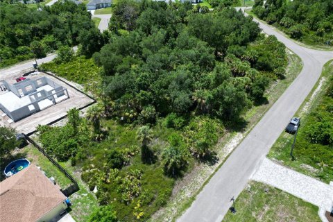 Land in North Port, Florida № 2161404 - photo 7