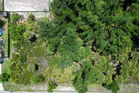 Land in North Port, Florida № 2161404 - photo 2
