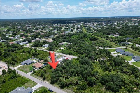 Land in North Port, Florida № 2161404 - photo 5