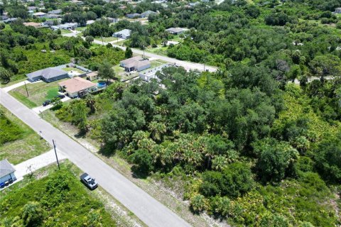 Land in North Port, Florida № 2161404 - photo 4