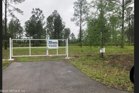 Land in Earleton, Florida № 766382 - photo 1