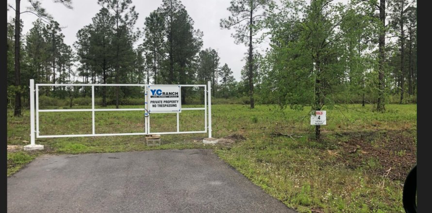 Land in Earleton, Florida № 766382