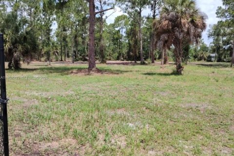 Terrain à vendre à Clewiston, Floride № 2089348 - photo 7