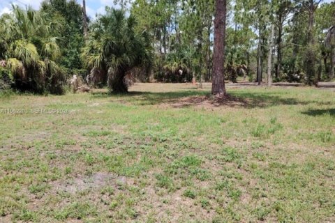Terrain à vendre à Clewiston, Floride № 2089348 - photo 2