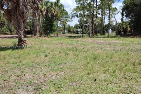 Terrain à vendre à Clewiston, Floride № 2089348 - photo 6