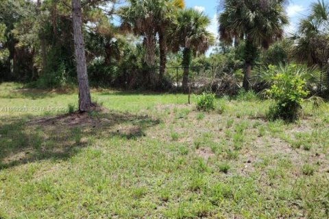 Terrain à vendre à Clewiston, Floride № 2089348 - photo 4