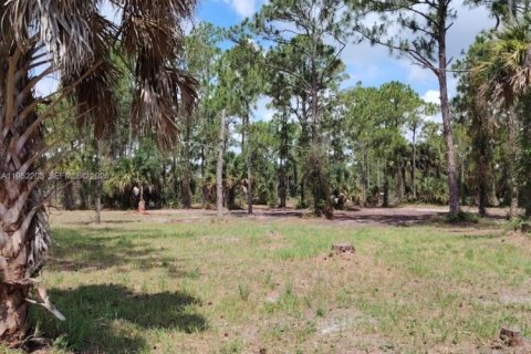 Terrain à vendre à Clewiston, Floride № 2089348 - photo 8