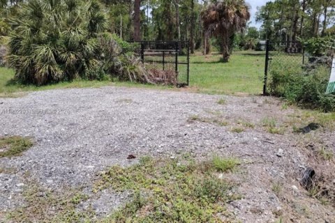 Terrain à vendre à Clewiston, Floride № 2089348 - photo 5