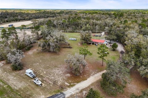 Commercial property in Bronson, Florida № 1562747 - photo 7